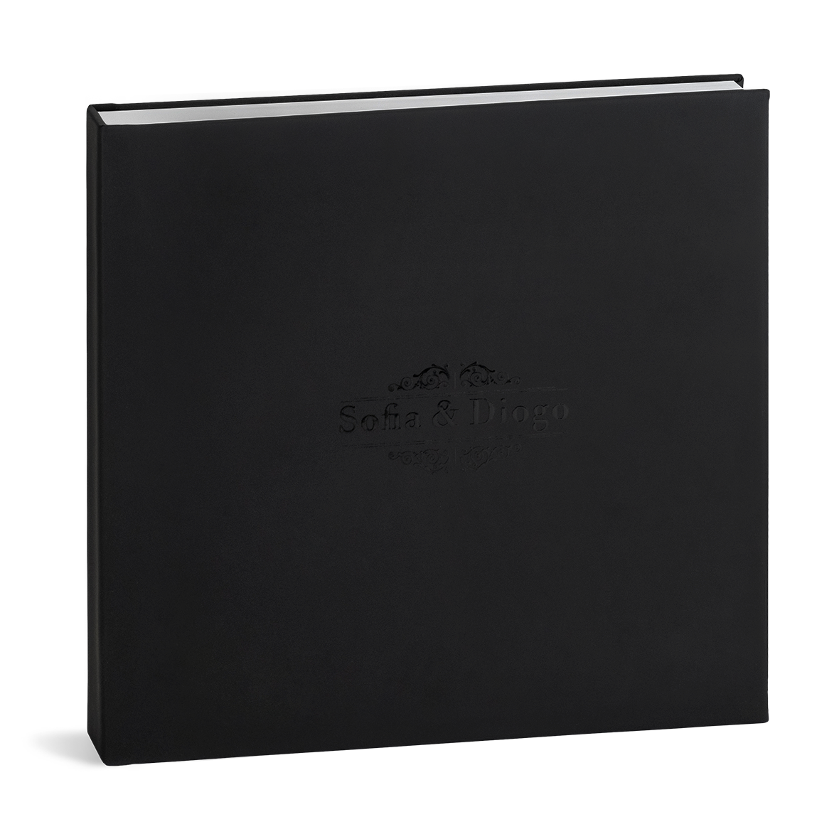 Evolution Kollektion Modelle Egeu