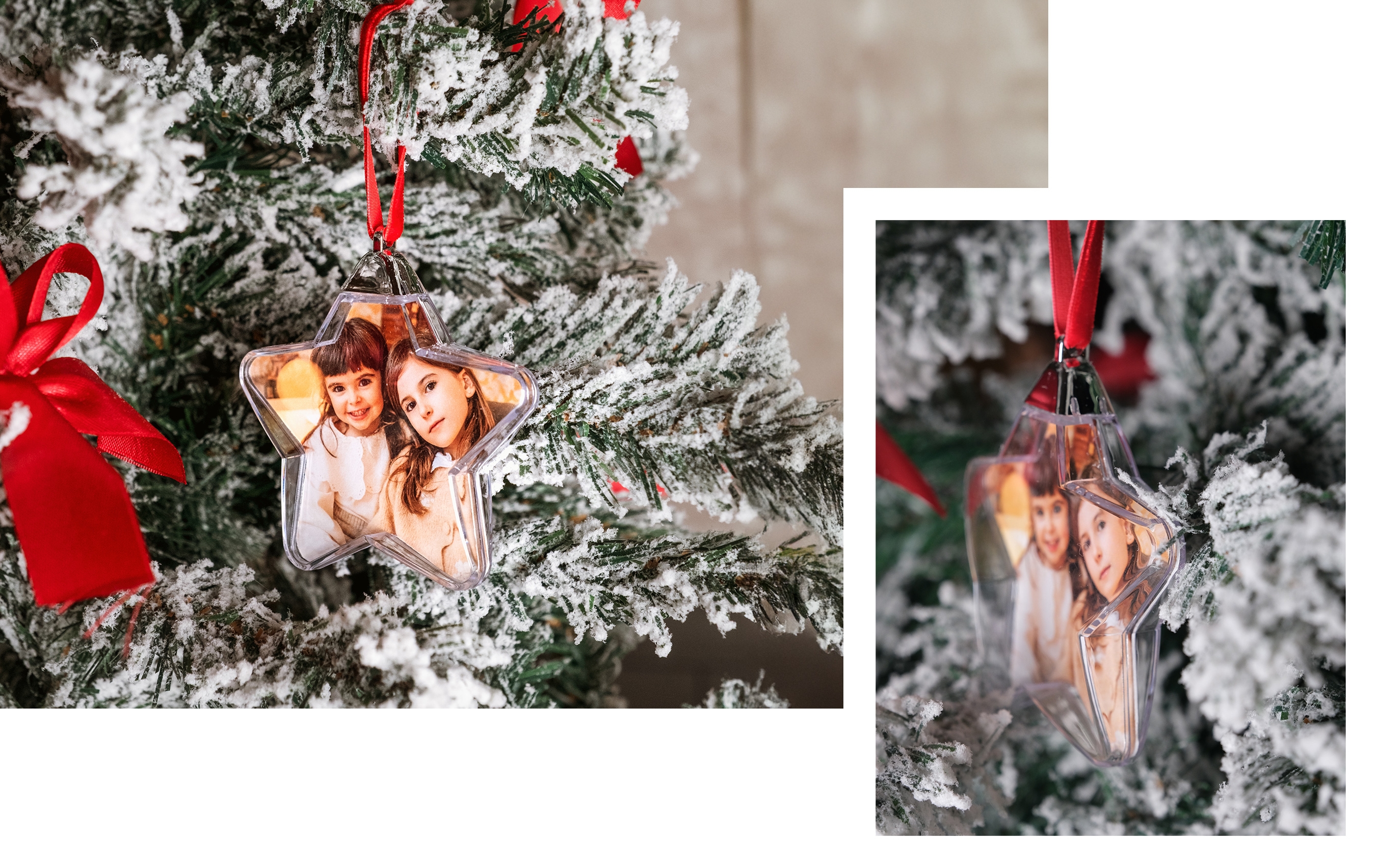 Weihnachtsstern